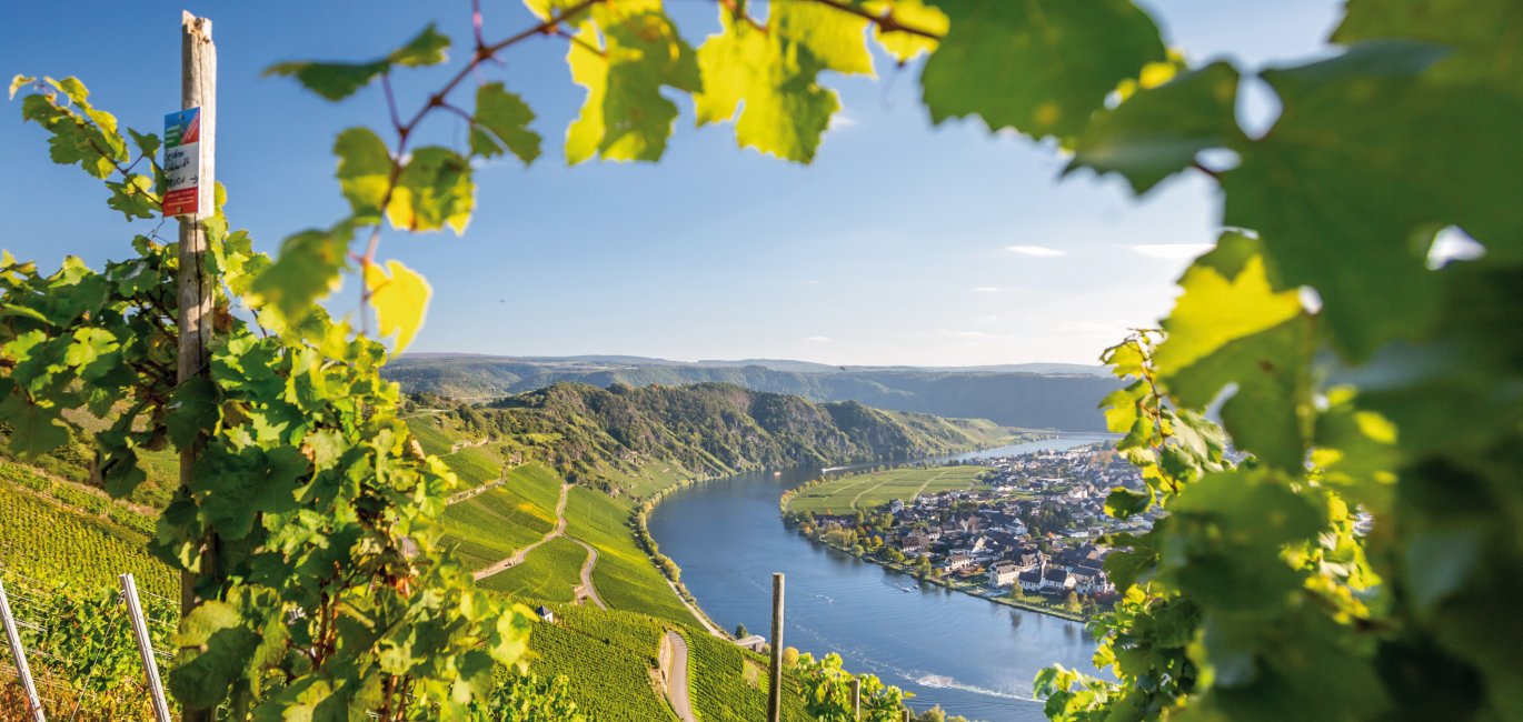 Mosel-Panorama © mh90photo - Fotolia