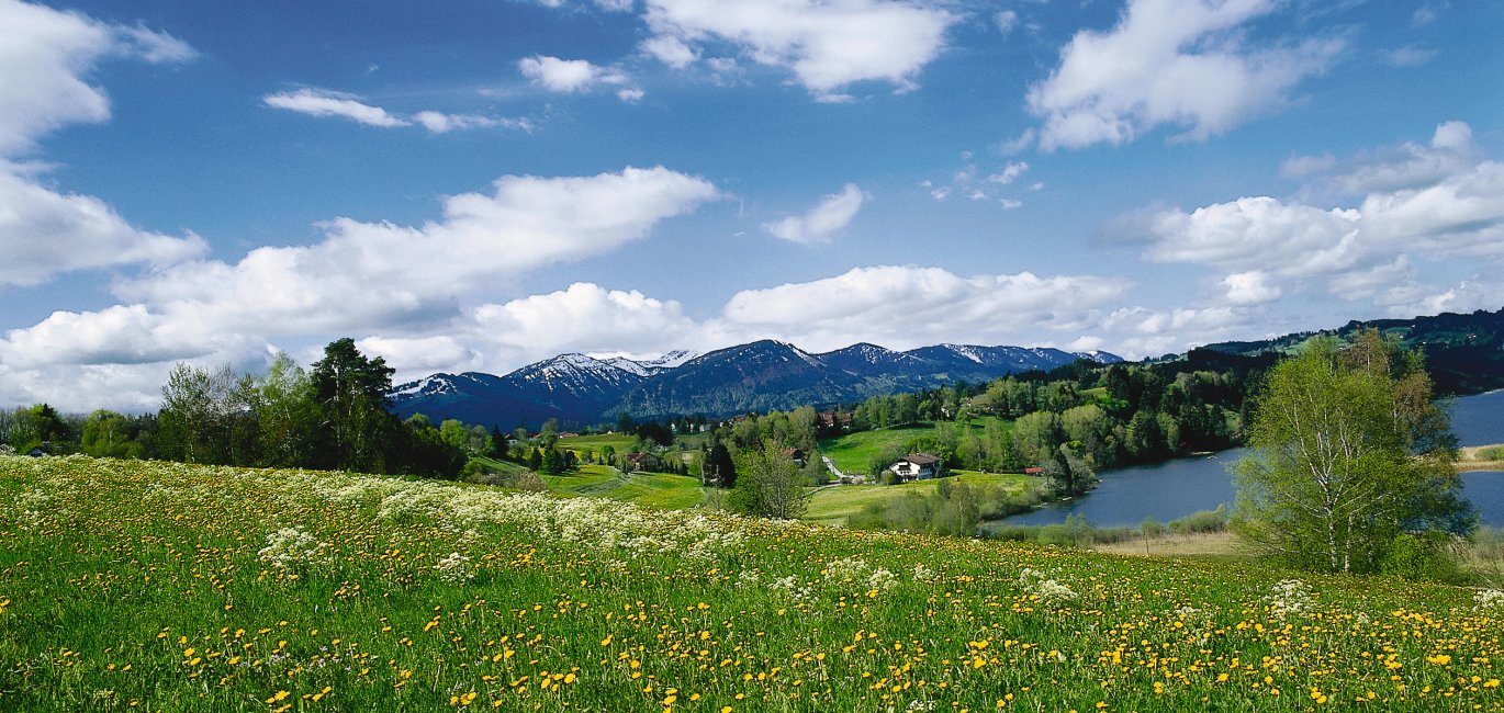 Frühlingslandschaft © FVA Allgäu/Bayer. Schwaben