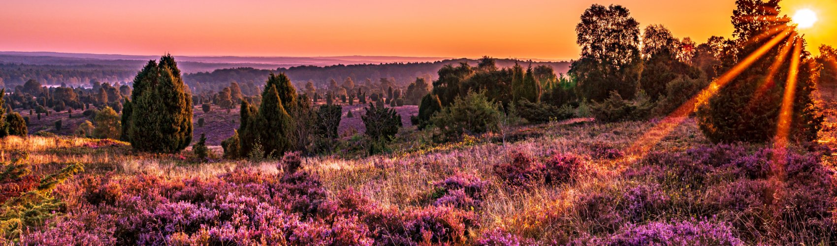 Lüneburger Heide © Steffi - stock.adobe.com