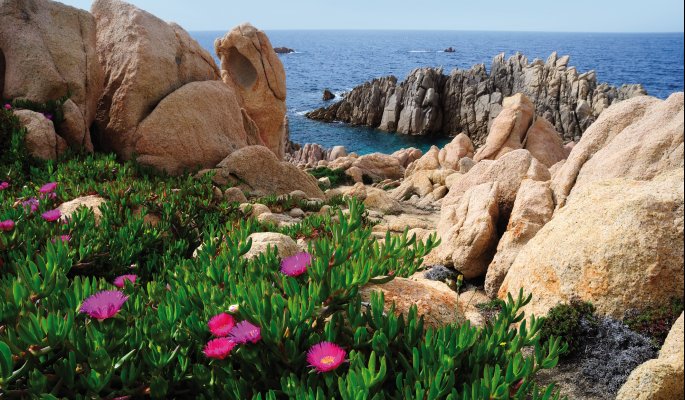 Costa Paradiso auf Sardinien © ultimathule-shutterstock.com/2013