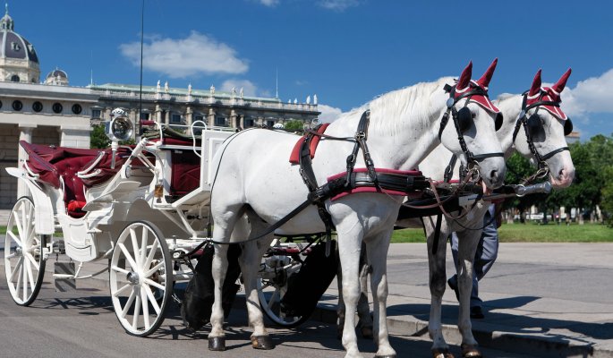 Fiaker in Wien © thongsee - Fotolia.com
