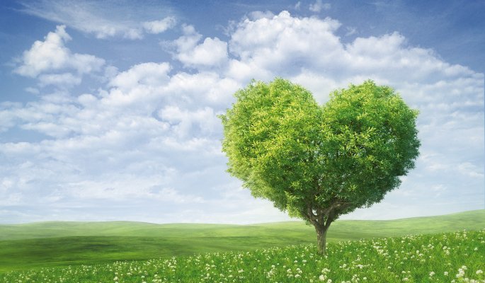 Herzige Landschaft © Maksim Samasiuk - fotolia.com