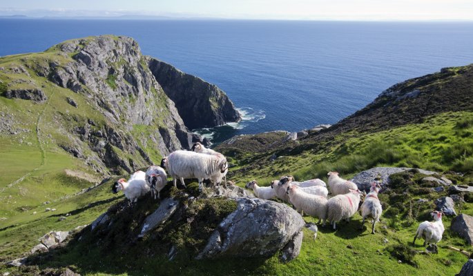 Slieve League Cliffs © Tourism Ireland/Brian Morrison