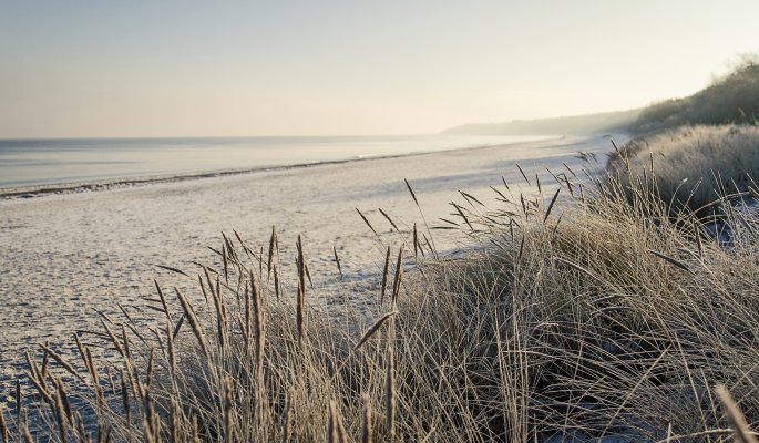 Ostsee Strand im Winter © hemminetti-stock.adobe.com