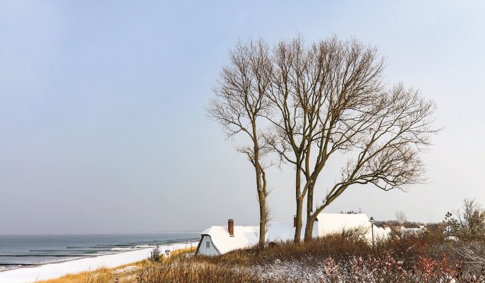 Ostseeküste in Ahrenshoop im Winter © Rico K. - stock.adobe.com