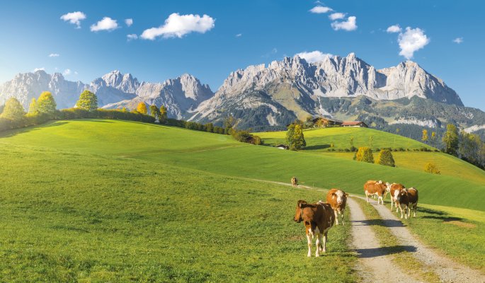 Herbststimmung am Wilden Kaiser © auergraphics-fotolia.com