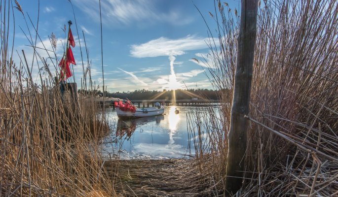 Winterlandschaft an der Ostsee © Klaus Haase-stock.adobe.com