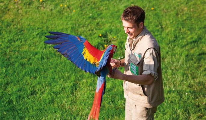 Flugshow im Weltvogelpark Walsrode  © Weltvogelpark Walsrode