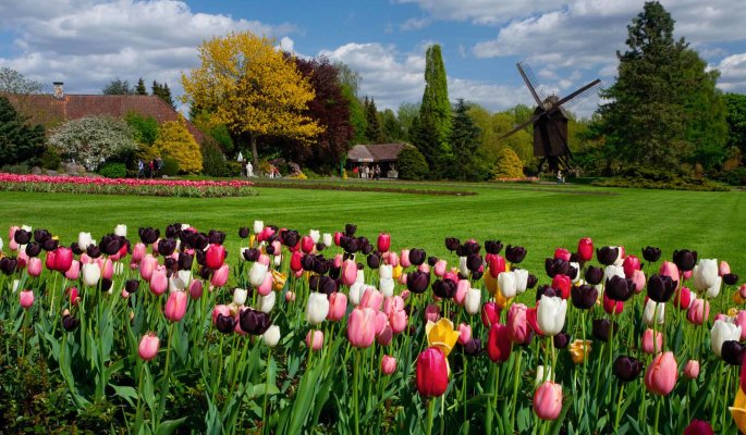 Weltvogelpark Walsrode © Weltvogelpark Walsrode