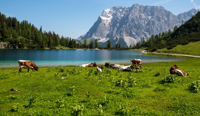 Bergpanorama in der Tiroler Zugspitzarena © T. Linack - stock.adobe.com
