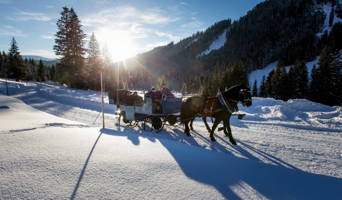Pferdeschlittenfahrt in Filzmoos © Filzmoos Tourismus/Ikarus/Tom Lamm