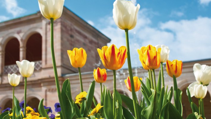 Kurhaus in Bad Kissingen © Dron - fotolia.com